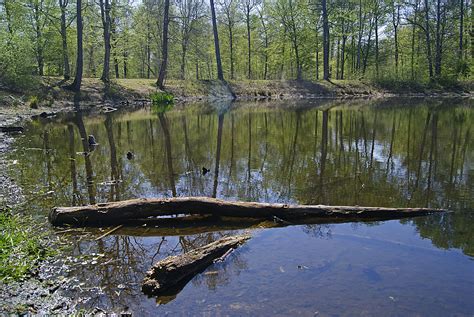 mare aux evees fontainebleau.